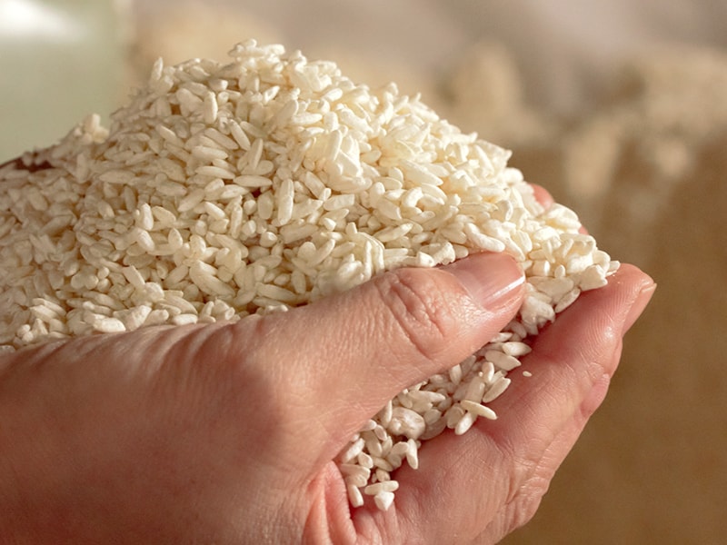 新潟産コシヒカリの米を米糀にする